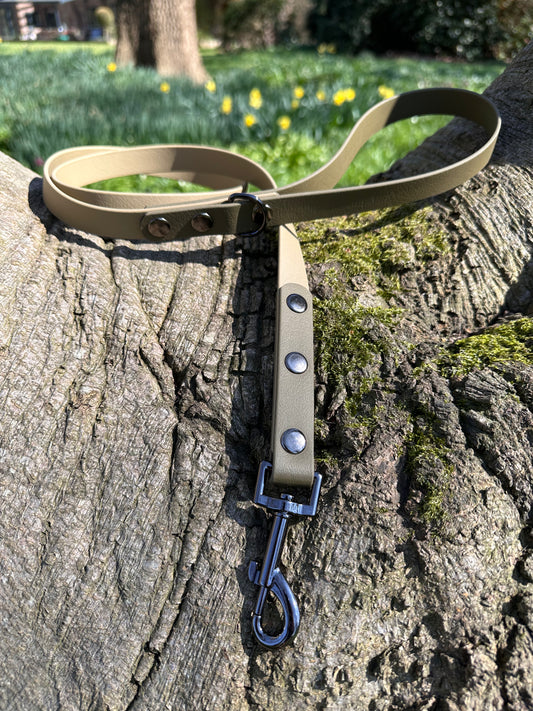 Biothane® Deux Lead Earth Collection