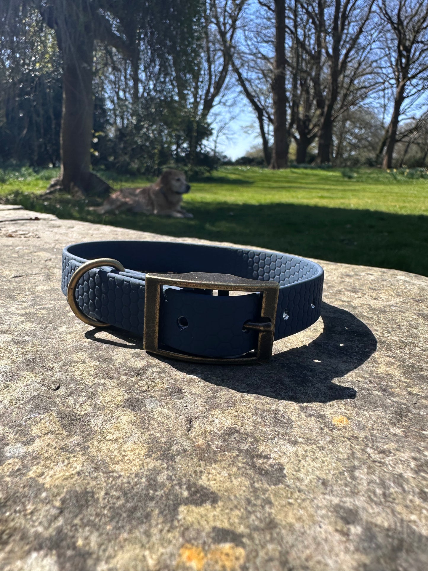Hex Collar