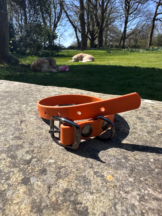 BioThane® Collar