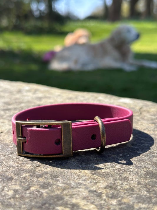 BioThane® Collar