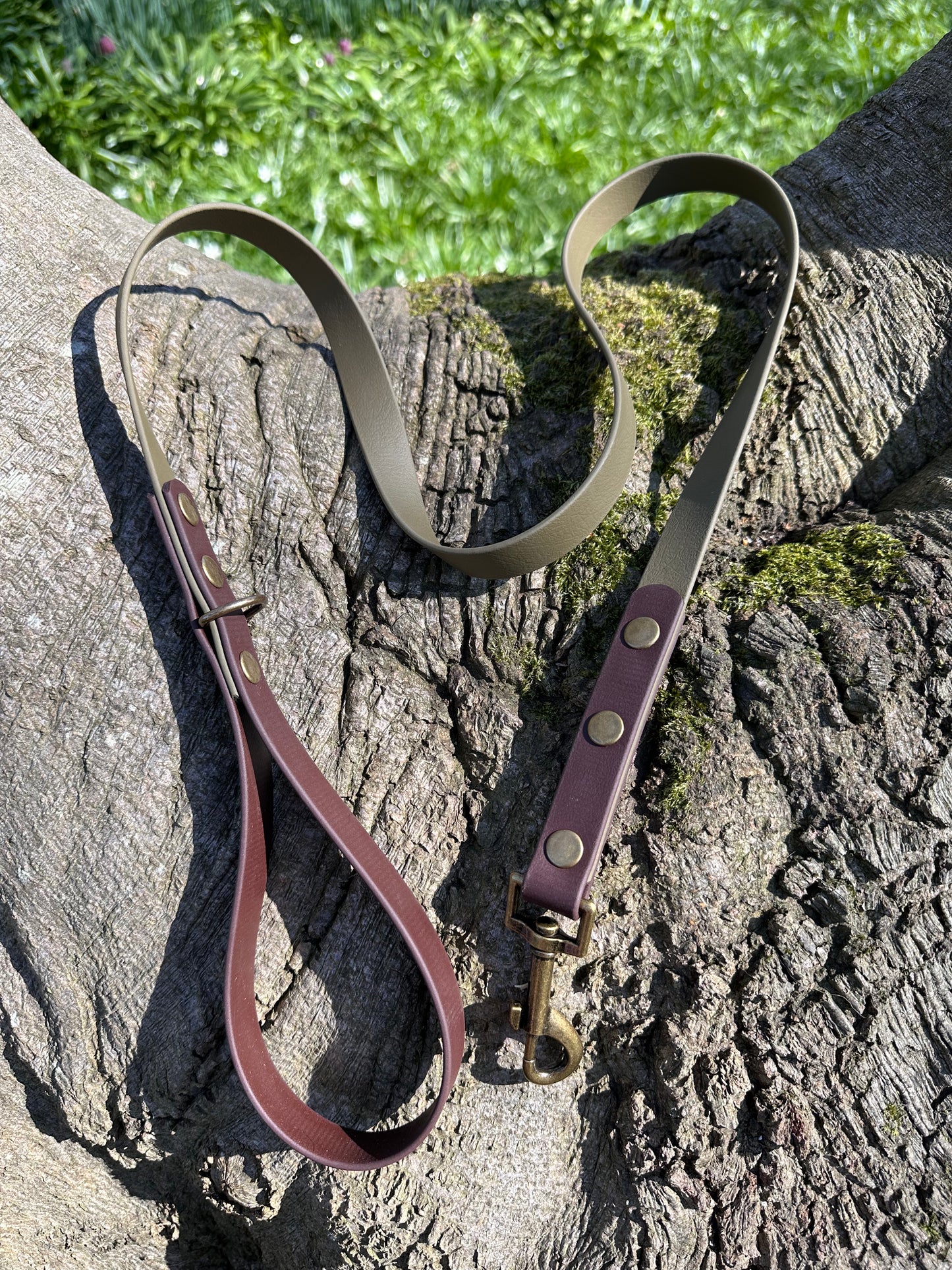 Biothane® Deux Lead Earth Collection